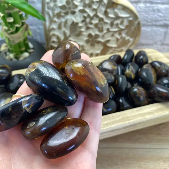 Amber Tumbles | Indonesian Natural Amber | Tumbles Stones | Crystals | Fossilized Tree Resin | Pocket Stones