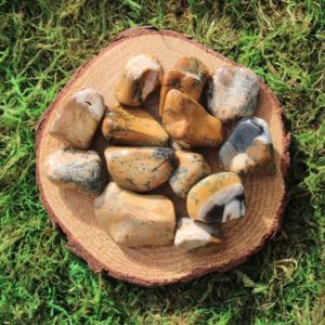 Shop Dendritic Agate Stones & Crystals! Tan Yellow Dendritic Agate Tumbled | Natural genuine stones & crystals in various shapes & sizes. Buy raw cut, tumbled, or polished gemstones for making jewelry or crystal healing energy vibration raising reiki stones. #crystals #gemstones #crystalhealing #crystalsandgemstones #energyhealing #affiliate #ad