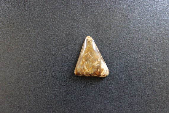 Free-form Petrified Wood Cabochon