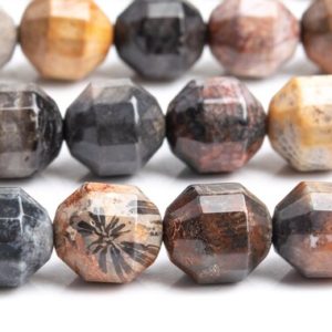Shop Jasper Faceted Beads! Genuine Natural Coral Fossil Jasper Gemstone Beads 10x9MM Multicolor Faceted Bicone Barrel Drum AAA Quality Loose Beads (115651) | Natural genuine faceted Jasper beads for beading and jewelry making.  #jewelry #beads #beadedjewelry #diyjewelry #jewelrymaking #beadstore #beading #affiliate #ad
