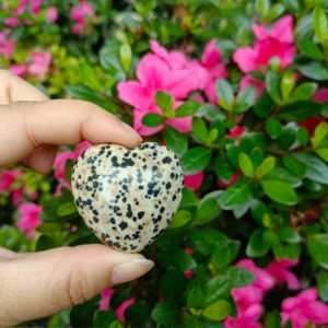 Shop Jasper Shapes! Dalmatian Jasper Heart Puffy Large 40mm (1.5") | Natural genuine stones & crystals in various shapes & sizes. Buy raw cut, tumbled, or polished gemstones for making jewelry or crystal healing energy vibration raising reiki stones. #crystals #gemstones #crystalhealing #crystalsandgemstones #energyhealing #affiliate #ad