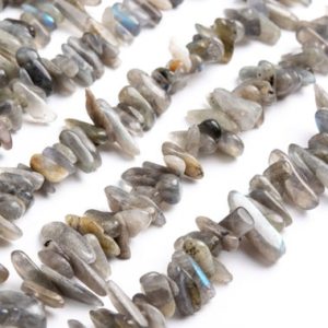 Shop Labradorite Chip & Nugget Beads! Genuine Natural Labradorite Gemstone Beads 12-24×3-5MM Gray Stick Pebble Chip AAA Quality Loose Beads (111232) | Natural genuine chip Labradorite beads for beading and jewelry making.  #jewelry #beads #beadedjewelry #diyjewelry #jewelrymaking #beadstore #beading #affiliate #ad