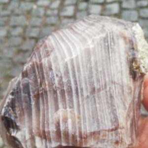 Shop Raw & Rough Petrified Wood Stones! Opalizied petrified wood,raw,rough,natural | Natural genuine stones & crystals in various shapes & sizes. Buy raw cut, tumbled, or polished gemstones for making jewelry or crystal healing energy vibration raising reiki stones. #crystals #gemstones #crystalhealing #crystalsandgemstones #energyhealing #affiliate #ad