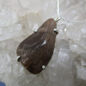 Shop Petrified Wood Necklaces! Oregon Petrified Wood Necklace ~Handmade in Sterling Silver~ 18" Sterling Chain | Natural genuine Petrified Wood necklaces. Buy crystal jewelry, handmade handcrafted artisan jewelry for women.  Unique handmade gift ideas. #jewelry #beadednecklaces #beadedjewelry #gift #shopping #handmadejewelry #fashion #style #product #necklaces #affiliate #ad
