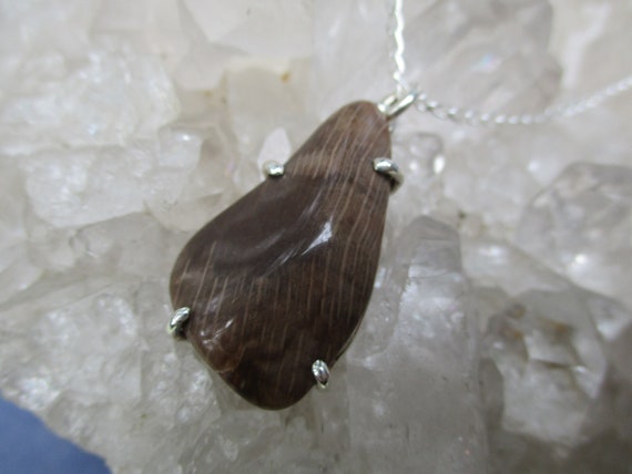Oregon Petrified Wood Necklace ~handmade In Sterling Silver~ 18" Sterling Chain