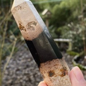 Petrified Palm Wood Root Large Point Indonesia 5 97g AAA+ | Natural genuine stones & crystals in various shapes & sizes. Buy raw cut, tumbled, or polished gemstones for making jewelry or crystal healing energy vibration raising reiki stones. #crystals #gemstones #crystalhealing #crystalsandgemstones #energyhealing #affiliate #ad