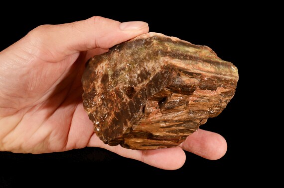 Petrified Wood 3" X 3" 1 Lb 6 Oz (sku 21) Lapidary Rough Rock Mineral Specimen Raw Root Chakra Healing Crystal Reiki Stone Natural