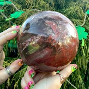 Shop Petrified Wood Shapes! Petrified Wood Crystal Ball Large 5 Lb. 13 oz. Sphere ~ 5" Wide ~ Stunning Brown & Red Colors ~ Perfect Handheld Size ~ Reiki Altar Display | Natural genuine stones & crystals in various shapes & sizes. Buy raw cut, tumbled, or polished gemstones for making jewelry or crystal healing energy vibration raising reiki stones. #crystals #gemstones #crystalhealing #crystalsandgemstones #energyhealing #affiliate #ad
