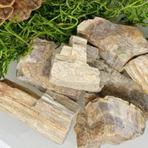 Shop Petrified Wood Stones & Crystals! Petrified Wood | Raw Crystal | Natural wood crystal – rough all natural form – ~1 inch each – high quality | Natural genuine stones & crystals in various shapes & sizes. Buy raw cut, tumbled, or polished gemstones for making jewelry or crystal healing energy vibration raising reiki stones. #crystals #gemstones #crystalhealing #crystalsandgemstones #energyhealing #affiliate #ad
