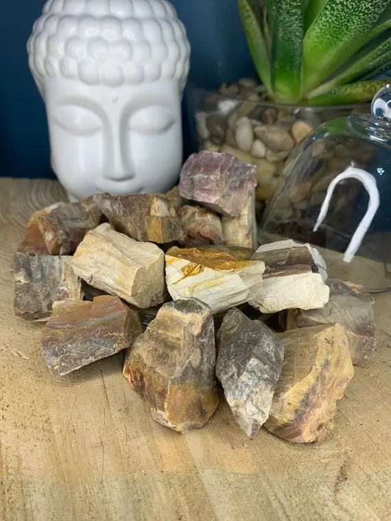 Petrified Wood Raw Stone,  Patience, Transformation, Protection, Canadian Seller, Fast Shipping!