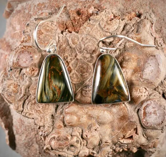 Pietersite Sterling Silver Earrings/fishhook Earrings