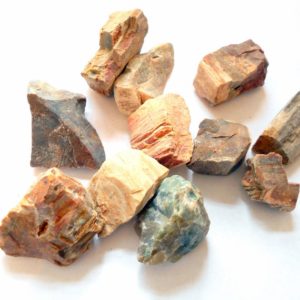 Shop Raw & Rough Petrified Wood Stones! Raw Petrified Wood Specimen earthegy #2026 | Natural genuine stones & crystals in various shapes & sizes. Buy raw cut, tumbled, or polished gemstones for making jewelry or crystal healing energy vibration raising reiki stones. #crystals #gemstones #crystalhealing #crystalsandgemstones #energyhealing #affiliate #ad