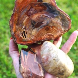 Raw & Polished PETRIFIED WOOD from Arizona Red – Healing Crystal ~ Trees are Stabilizing and Grounding – Many Sizes | Natural genuine stones & crystals in various shapes & sizes. Buy raw cut, tumbled, or polished gemstones for making jewelry or crystal healing energy vibration raising reiki stones. #crystals #gemstones #crystalhealing #crystalsandgemstones #energyhealing #affiliate #ad