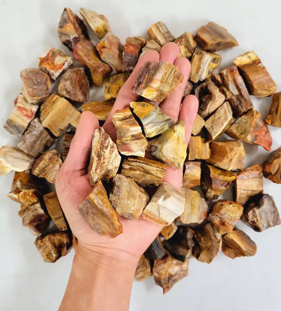 Rough Petrified Wood - Medium Chunks 1" To 2" - Raw Petrified Wood From Madagascar, Fossilized Wood, Agatized Wood