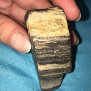 Shop Raw & Rough Petrified Wood Stones! Small Raw Australian petrified wood | Natural genuine stones & crystals in various shapes & sizes. Buy raw cut, tumbled, or polished gemstones for making jewelry or crystal healing energy vibration raising reiki stones. #crystals #gemstones #crystalhealing #crystalsandgemstones #energyhealing #affiliate #ad