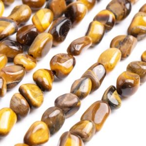 Shop Tiger Eye Chip & Nugget Beads! Genuine Natural Tiger Eye Gemstone Beads 7-9mm Yellow Pebble Nugget A Quality Loose Beads (108414) | Natural genuine chip Tiger Eye beads for beading and jewelry making.  #jewelry #beads #beadedjewelry #diyjewelry #jewelrymaking #beadstore #beading #affiliate #ad