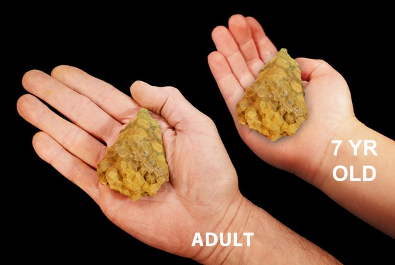 Yellow Ocean Jasper 2" 2-3 Oz Rocks Minerals Solar Plexus Chakra Raw Healing Crystals Stones Natural Specimen Xx