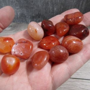 Shop Tumbled Carnelian Crystals & Pocket Stones! Carnelian 3/4 inch + Tumbled Stone T320 | Natural genuine stones & crystals in various shapes & sizes. Buy raw cut, tumbled, or polished gemstones for making jewelry or crystal healing energy vibration raising reiki stones. #crystals #gemstones #crystalhealing #crystalsandgemstones #energyhealing #affiliate #ad