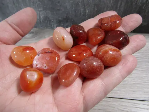 Carnelian 0.75 Inch + Tumbled Stone T320