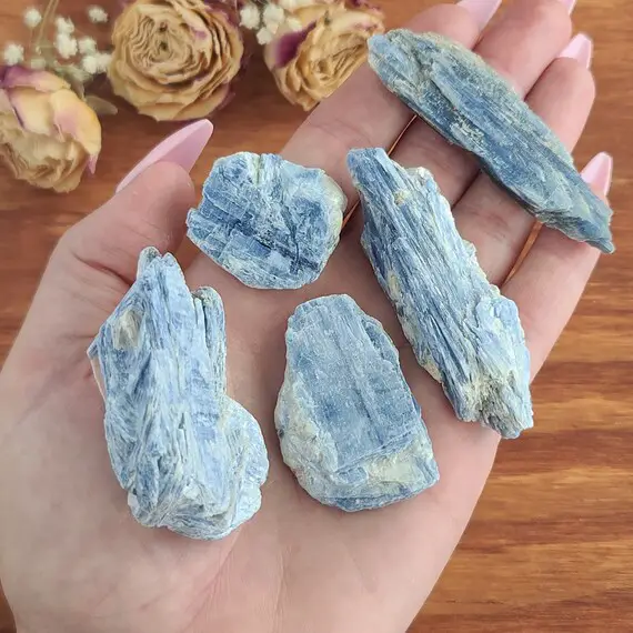 Large Blue Kyanite Blades, 1.5"-3" Raw Crystal Shards In Bulk Lots For Jewelry Making, Crafts, Or Crystal Grids