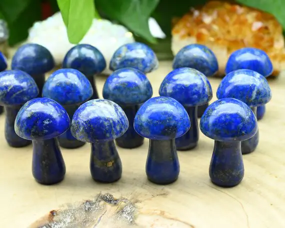 Natural Lapis Lazuli Mooshroom,hand Carved Mushroom,reiki Healing Crystal,mini Mooshroom Decor,home Decor,for Her Gift,gift Mystery Bag.