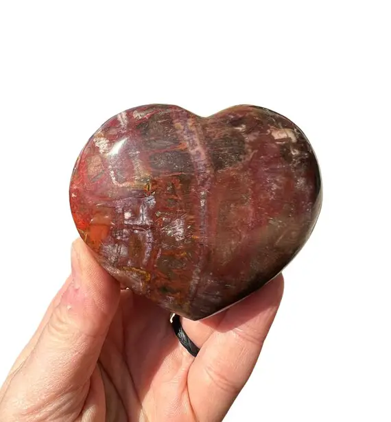 Petrified Wood Heart (2.5" - 3") Petrified Wood Stone Polished Heart - Tumbled Petrified Wood Crystal Heart - Petrified Wood Palm Stone