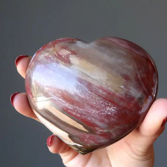 Petrified Wood Heart Splash Of Red Earth Love Healing Crystal