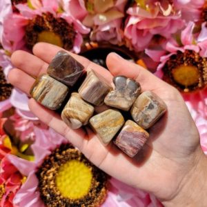 Petrified Wood Tumbles – Petrified Wood Stone – No. 437 | Natural genuine stones & crystals in various shapes & sizes. Buy raw cut, tumbled, or polished gemstones for making jewelry or crystal healing energy vibration raising reiki stones. #crystals #gemstones #crystalhealing #crystalsandgemstones #energyhealing #affiliate #ad