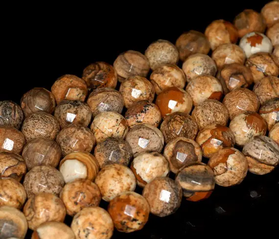 10mm Picture Jasper Gemstone Grade Aa Faceted Round Loose Beads 15 Inch Full Strand (90190649-710b)
