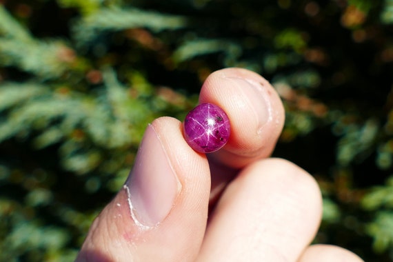 6.34ct Natural Star Ruby Loose Gemstone