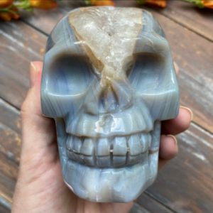 Shop Raw & Rough Agate Stones! Agate Geode Crystal Skull – 4” | Natural genuine stones & crystals in various shapes & sizes. Buy raw cut, tumbled, or polished gemstones for making jewelry or crystal healing energy vibration raising reiki stones. #crystals #gemstones #crystalhealing #crystalsandgemstones #energyhealing #affiliate #ad