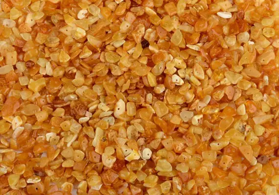 Baltic Amber Polished Drilled Loose Beads - 100 Pcs - Butterscotch Color