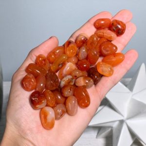 Shop Carnelian Stones & Crystals! 5pc XS-Small Carnelian, Tumbled Carnelian, Chalcedony Variety, Red Chalcedony, Orange Chalcedony | Natural genuine stones & crystals in various shapes & sizes. Buy raw cut, tumbled, or polished gemstones for making jewelry or crystal healing energy vibration raising reiki stones. #crystals #gemstones #crystalhealing #crystalsandgemstones #energyhealing #affiliate #ad