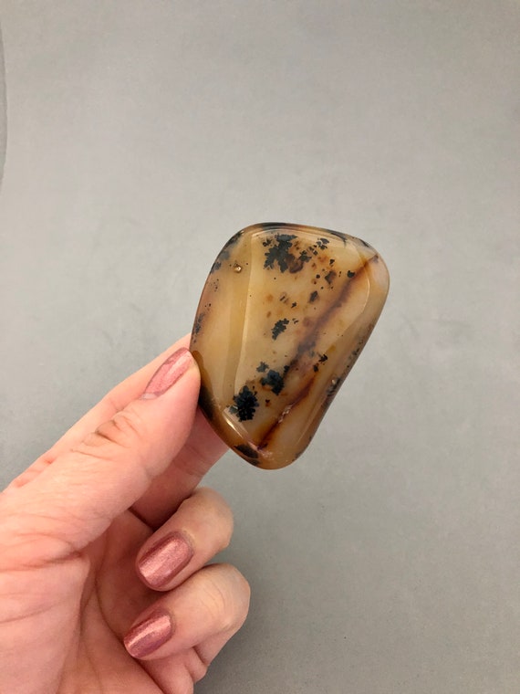 Dendritic Agate Palm Stone Crystal (2"+) For Meditation, Crystal Collection, Crystal Grids, Peacefulness, Growth, Perseverance, Strength