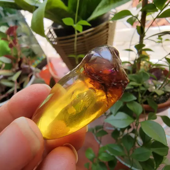 Genuine Dominican Amber Stone, Crystals, Natural Amber, Raw Amber, Amber Fossil, Palm Stone, Worry Stone, Healing Crystals And Stones