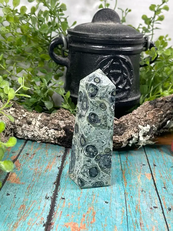 Kambaba Jasper Tower - Reiki Charged - Peaceful & Tranquil Energy - Good Vibes - Orbicular Jasper Point - Happy Vibrations #4