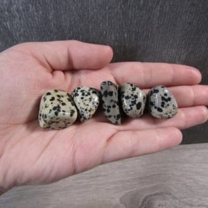 Shop Tumbled Crystals & Pocket Stones! Dalmatian Jasper 1/2 inch + Tumbled Stone T9 | Natural genuine stones & crystals in various shapes & sizes. Buy raw cut, tumbled, or polished gemstones for making jewelry or crystal healing energy vibration raising reiki stones. #crystals #gemstones #crystalhealing #crystalsandgemstones #energyhealing #affiliate #ad