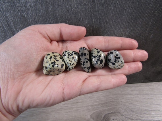Dalmatian Jasper Tumbled Stone 0.5 Inch + Crystal