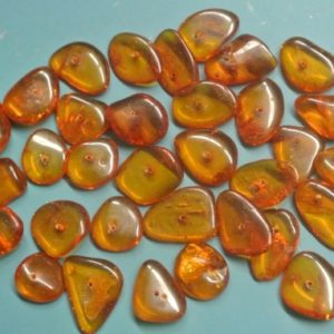 Shop Amber Chip & Nugget Beads! Lot of 33 vintage 1950s translucent goldbrown real natural organic baltic amber chip beads for your jewelry prodjects | Natural genuine chip Amber beads for beading and jewelry making.  #jewelry #beads #beadedjewelry #diyjewelry #jewelrymaking #beadstore #beading #affiliate #ad