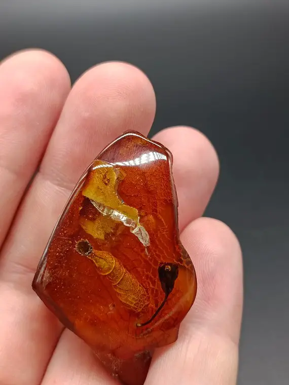 Natural Amber Raw, Light Cognac, Gemstone With Inclusion, Prehistoric Seed , Unpolished Backside  #759