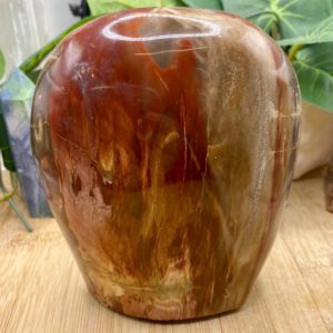 Shop Petrified Wood Shapes! Petrified Wood free form altar stone polished PETA1 CASE 5 | Natural genuine stones & crystals in various shapes & sizes. Buy raw cut, tumbled, or polished gemstones for making jewelry or crystal healing energy vibration raising reiki stones. #crystals #gemstones #crystalhealing #crystalsandgemstones #energyhealing #affiliate #ad