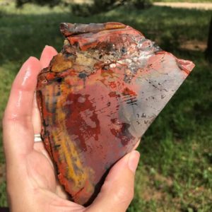 Shop Petrified Wood Shapes! Petrified Wood Lapidary Slab natural stone supplies large | Natural genuine stones & crystals in various shapes & sizes. Buy raw cut, tumbled, or polished gemstones for making jewelry or crystal healing energy vibration raising reiki stones. #crystals #gemstones #crystalhealing #crystalsandgemstones #energyhealing #affiliate #ad