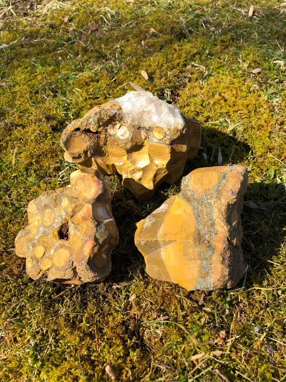 Raw Ocean Jasper Stone/large Raw Jasper/ Orbicular Jasper/ Healing Crystals And Stones/sea Jasper Stone/ Raw Ocean Jasper