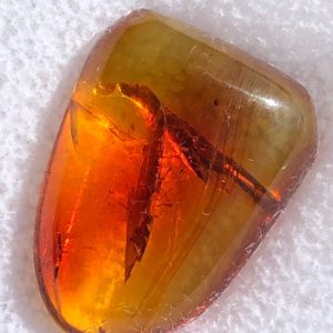 Shop Amber Cabochons! Red Amber Cabochon 8.1ct | Natural genuine stones & crystals in various shapes & sizes. Buy raw cut, tumbled, or polished gemstones for making jewelry or crystal healing energy vibration raising reiki stones. #crystals #gemstones #crystalhealing #crystalsandgemstones #energyhealing #affiliate #ad