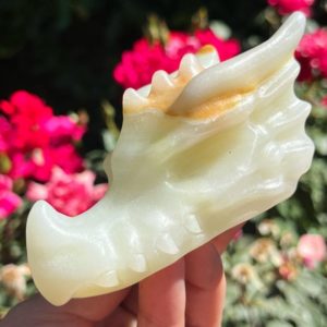 Shop Jade Shapes! Yellow Jade Dragon Skull Head Genuine Crystal Skull Art Carving ~ Crystals Carved Natural Stone ~ | Natural genuine stones & crystals in various shapes & sizes. Buy raw cut, tumbled, or polished gemstones for making jewelry or crystal healing energy vibration raising reiki stones. #crystals #gemstones #crystalhealing #crystalsandgemstones #energyhealing #affiliate #ad