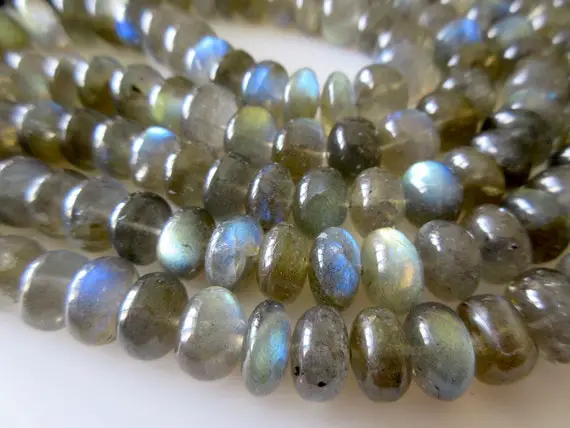 Aaa Natural Labradorite Smooth Rondelles Beads, 10mm Labradorite Beads, 8 Inch Strand, Gds192