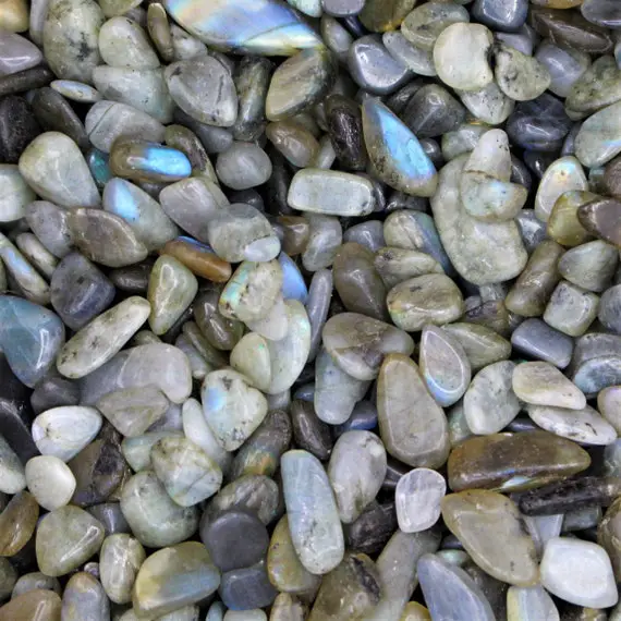 Labradorite Tumbled Crystal Chips, Choose Amount