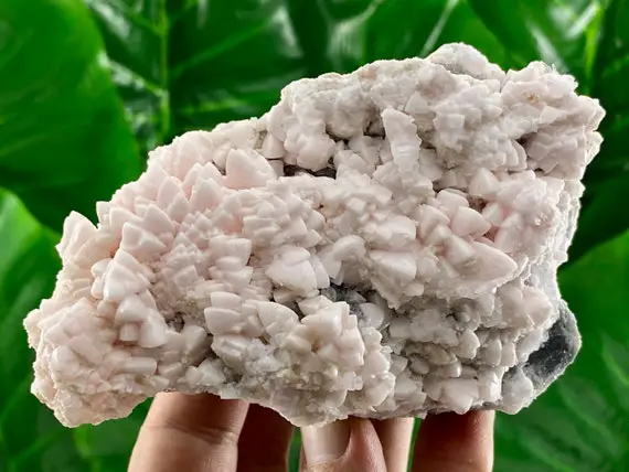 Large Mangano Calcite With Second Generation Calcite On Quartz From Krushev Dol Mine,madan,bulgaria,home Decor,pink Crystal,pink Calcite