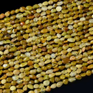 Shop Opal Chip & Nugget Beads! 6-8MM Natural Yellow Opal Gemstone Pebble Nugget Loose Beads (D183) | Natural genuine chip Opal beads for beading and jewelry making.  #jewelry #beads #beadedjewelry #diyjewelry #jewelrymaking #beadstore #beading #affiliate #ad