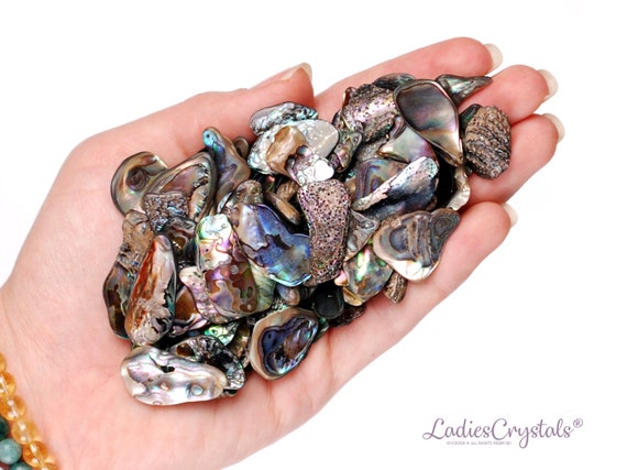 Set Of 20 Bulk Abalone Shells, Natural Iridescent Paua Shells For Smudging And Crafts